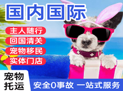 锦州航空货运国际宠物托运 【国